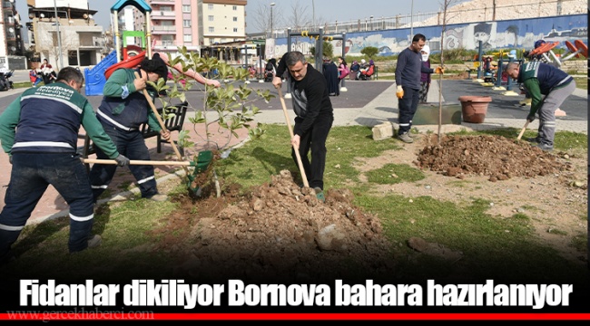 Fidanlar dikiliyor Bornova bahara hazırlanıyor