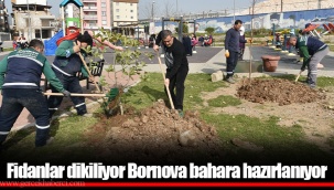Fidanlar dikiliyor Bornova bahara hazırlanıyor
