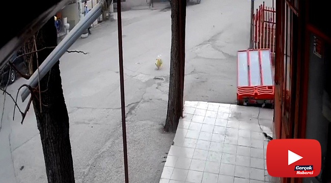 İçecek dolabı fırtınada kağıt gibi uçtu