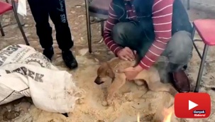 İnsanlık ölmemiş dedirten davranış