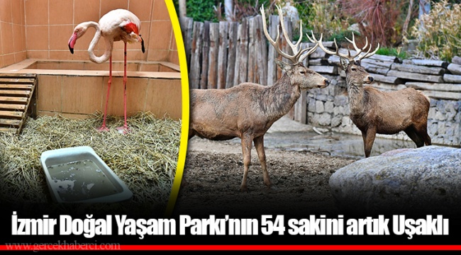 İzmir Doğal Yaşam Parkı’nın 54 sakini artık Uşaklı