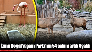 İzmir Doğal Yaşam Parkı’nın 54 sakini artık Uşaklı