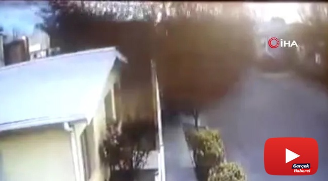 Kuş sürüsü yere çakıldı, onlarca kuş telef oldu