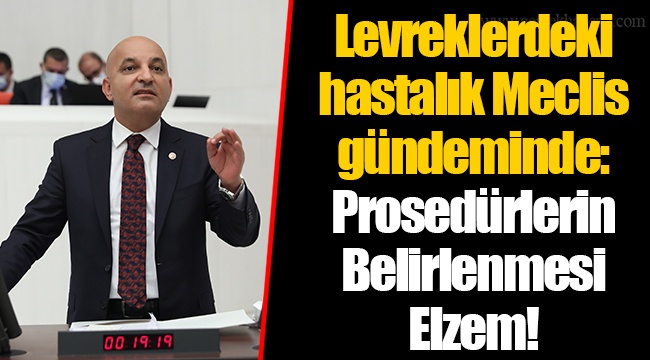 Levreklerdeki hastalık Meclis gündeminde: Prosedürlerin Belirlenmesi Elzem!