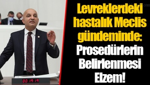 Levreklerdeki hastalık Meclis gündeminde: Prosedürlerin Belirlenmesi Elzem!
