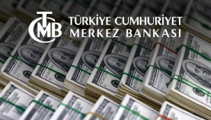 Merkez Bankası'ndan BOTAŞ'a rekor döviz satışı