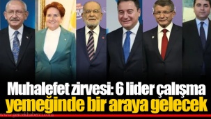 Muhalefet zirvesi: 6 lider çalışma yemeğinde bir araya gelecek