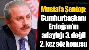 Mustafa Şentop: Cumhurbaşkanı Erdoğan'ın adaylığı 3. değil 2. kez söz konusu