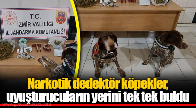 Narkotik dedektör köpekler, uyuşturucuların yerini tek tek buldu