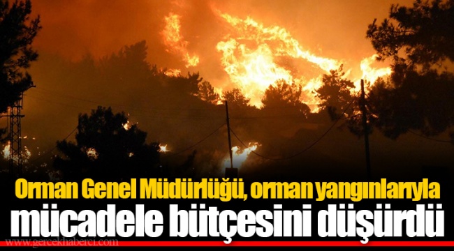 Orman Genel Müdürlüğü, orman yangınlarıyla mücadele bütçesini düşürdü