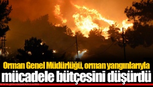 Orman Genel Müdürlüğü, orman yangınlarıyla mücadele bütçesini düşürdü