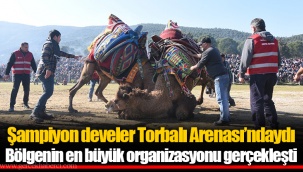 Şampiyon develer Torbalı Arenası’ndaydı