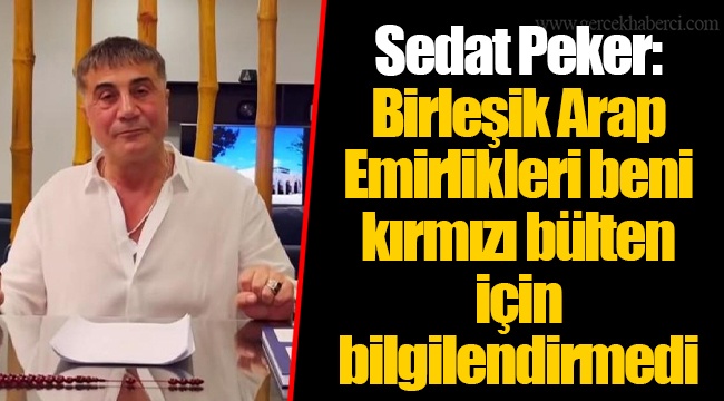 Sedat Peker: Birleşik Arap Emirlikleri beni kırmızı bülten için bilgilendirmedi