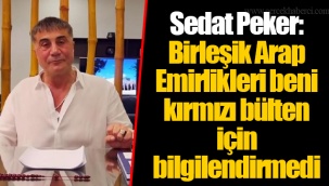 Sedat Peker: Birleşik Arap Emirlikleri beni kırmızı bülten için bilgilendirmedi