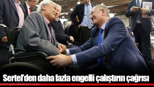 Sertel’den daha fazla engelli çalıştırın çağrısı