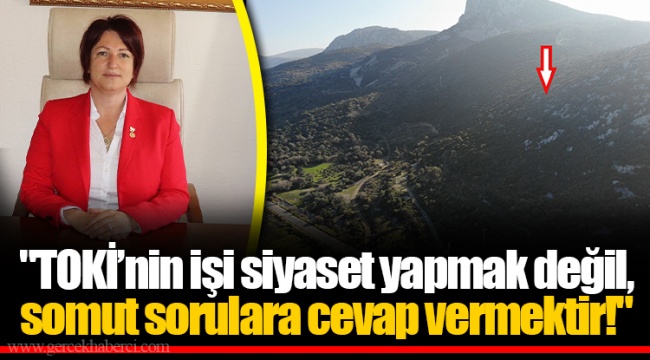 "TOKİ’nin işi siyaset yapmak değil, somut sorulara cevap vermektir!"