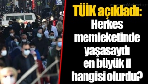 TÜİK açıkladı: Herkes memleketinde yaşasaydı en büyük il hangisi olurdu?