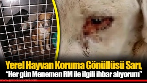Yerel Hayvan Koruma Gönüllüsü Sarı, “Her gün Menemen RM ile ilgili ihbar alıyorum”