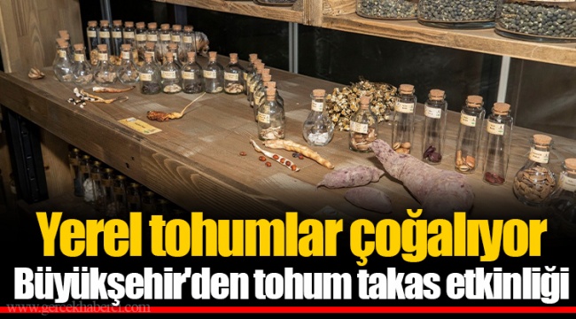Yerel tohumlar çoğalıyor
