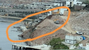 Akdeniz foklarının barınma alanına tonlarca moloz döktüler