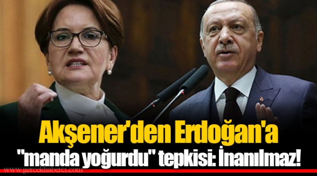 Akşener'den Erdoğan'a "manda yoğurdu" tepkisi: İnanılmaz!