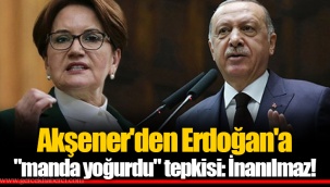 Akşener'den Erdoğan'a