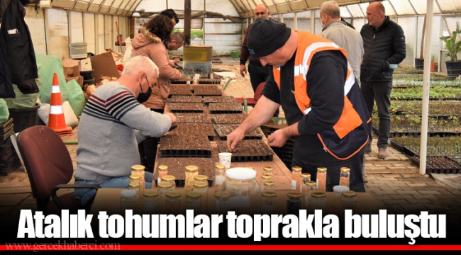 Atalık tohumlar toprakla buluştu