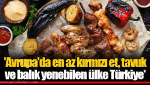 'Avrupa'da en az kırmızı et, tavuk ve balık yenebilen ülke Türkiye'