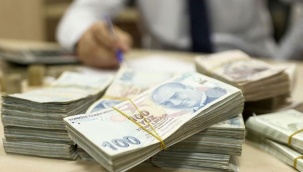 BDDK’dan bankalara TL uyarısı