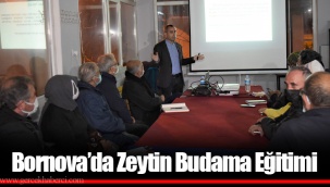Bornova’da Zeytin Budama Eğitimi