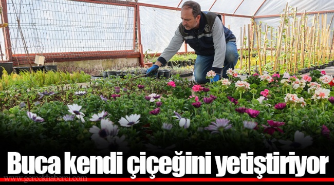 Buca kendi çiçeğini yetiştiriyor