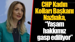 CHP Kadın Kolları Başkanı Nazlıaka,