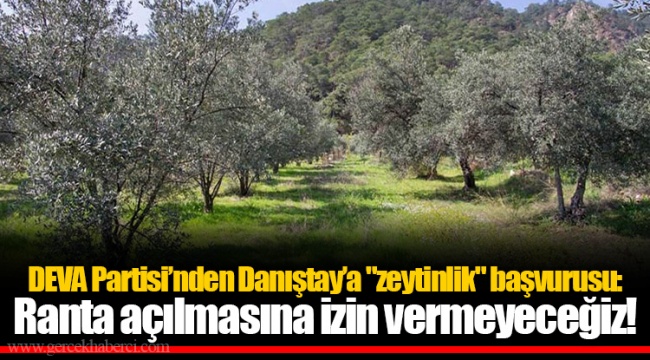 DEVA Partisi’nden Danıştay’a "zeytinlik" başvurusu: Ranta açılmasına izin vermeyeceğiz!