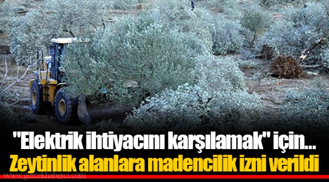 "Elektrik ihtiyacını karşılamak" için... Zeytinlik alanlara madencilik izni verildi