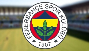 Fenerbahçe'nin TFF'ye açtığı tazminat davasında ilk duruşma görüldü