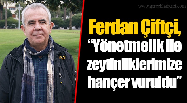 Ferdan Çiftçi, “Yönetmelik ile zeytinliklerimize hançer vuruldu”