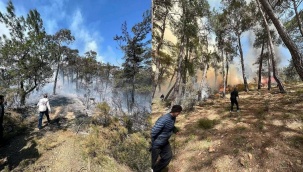 Fethiye'de orman yangını çıktı