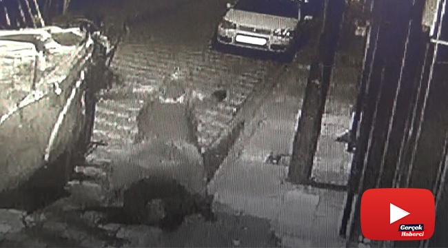 Güldüren hırsızlık kameralara yansıdı