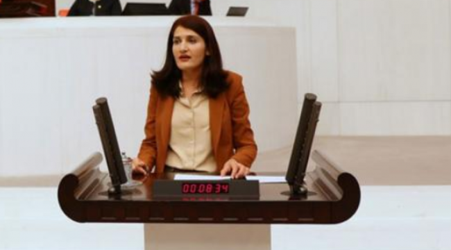 HDP Milletvekili Semra Güzel’in dokunulmazlığı kaldırıldı