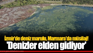 İzmir'de deniz marulu, Marmara'da müsilaj! 'Denizler elden gidiyor'