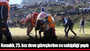 Konaklı, 25. kez deve güreşlerine ev sahipliği yaptı