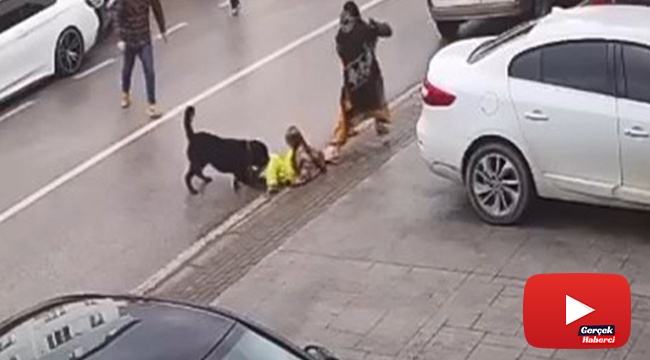 Köpek üzerine doğru koşunca kucağındaki çocuğu düşürdü