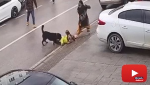 Köpek üzerine doğru koşunca kucağındaki çocuğu düşürdü