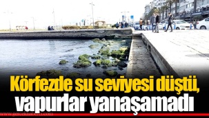 Körfezde su seviyesi düştü, vapurlar yanaşamadı