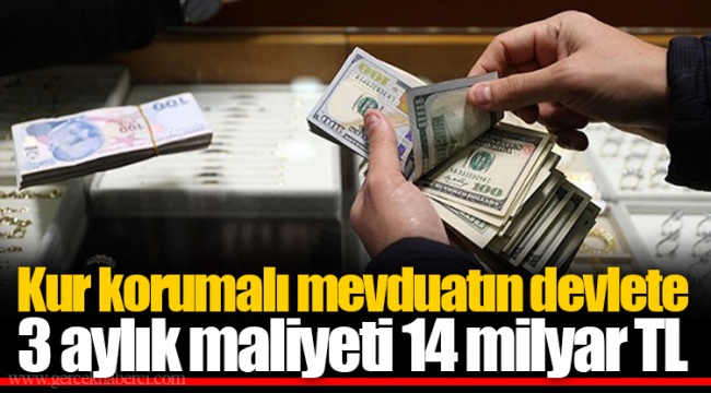 Kur korumalı mevduatın devlete 3 aylık maliyeti 14 milyar TL