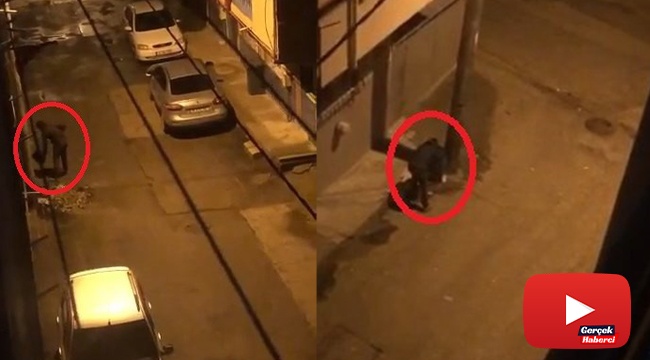 Makasla kesti, çöp kovalarını böyle çalmaya kalkıştı