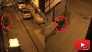 Makasla kesti, çöp kovalarını böyle çalmaya kalkıştı