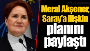 Meral Akşener, Saray'a ilişkin planını paylaştı