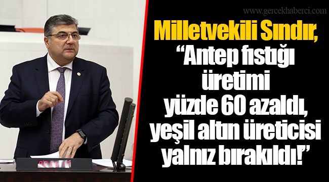 Milletvekili Sındır, “Antep fıstığı üretimi yüzde 60 azaldı, yeşil altın üreticisi yalnız bırakıldı!”