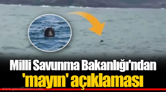 Milli Savunma Bakanlığı'ndan 'mayın' açıklaması